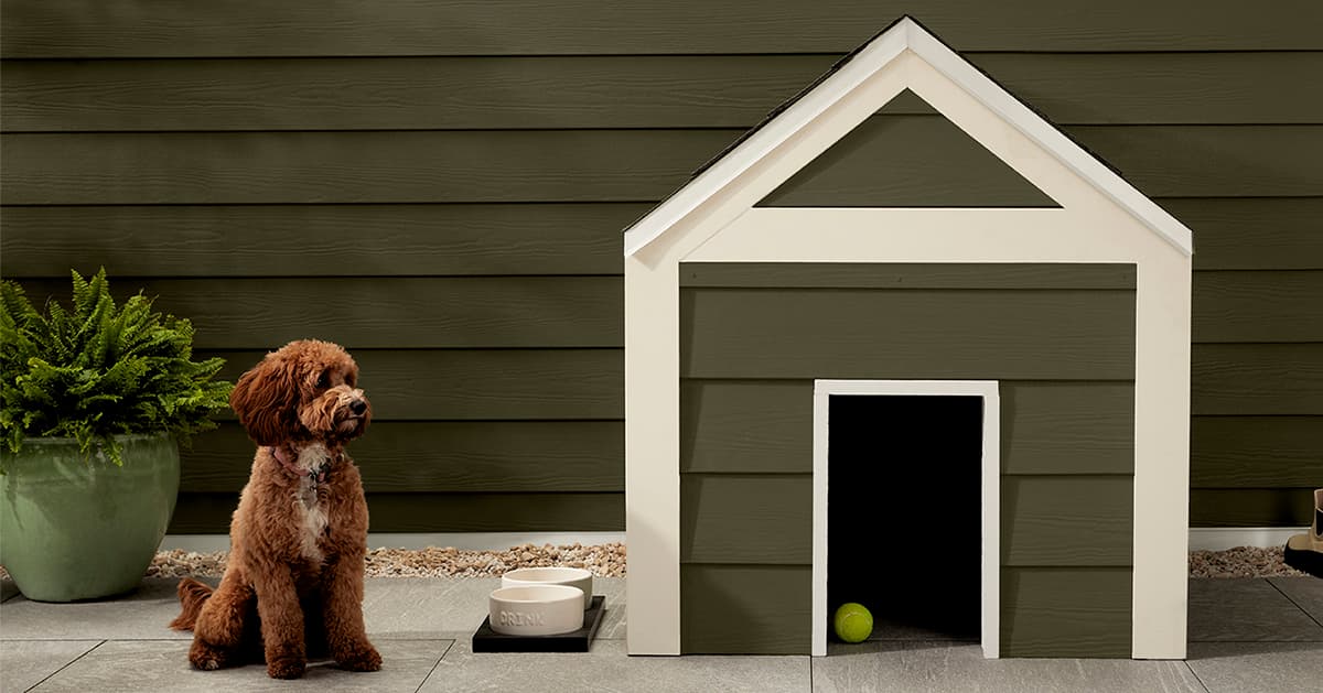 Mountain Sage Green Siding Dog House Brown dog seated next to a doghouse featuring Mountain Sage green lap siding.